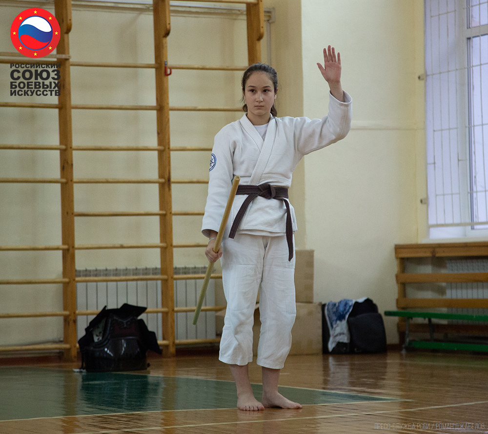 Всероссийские студенческие игры боевых искусств – 2019: Йошкар-Ола
